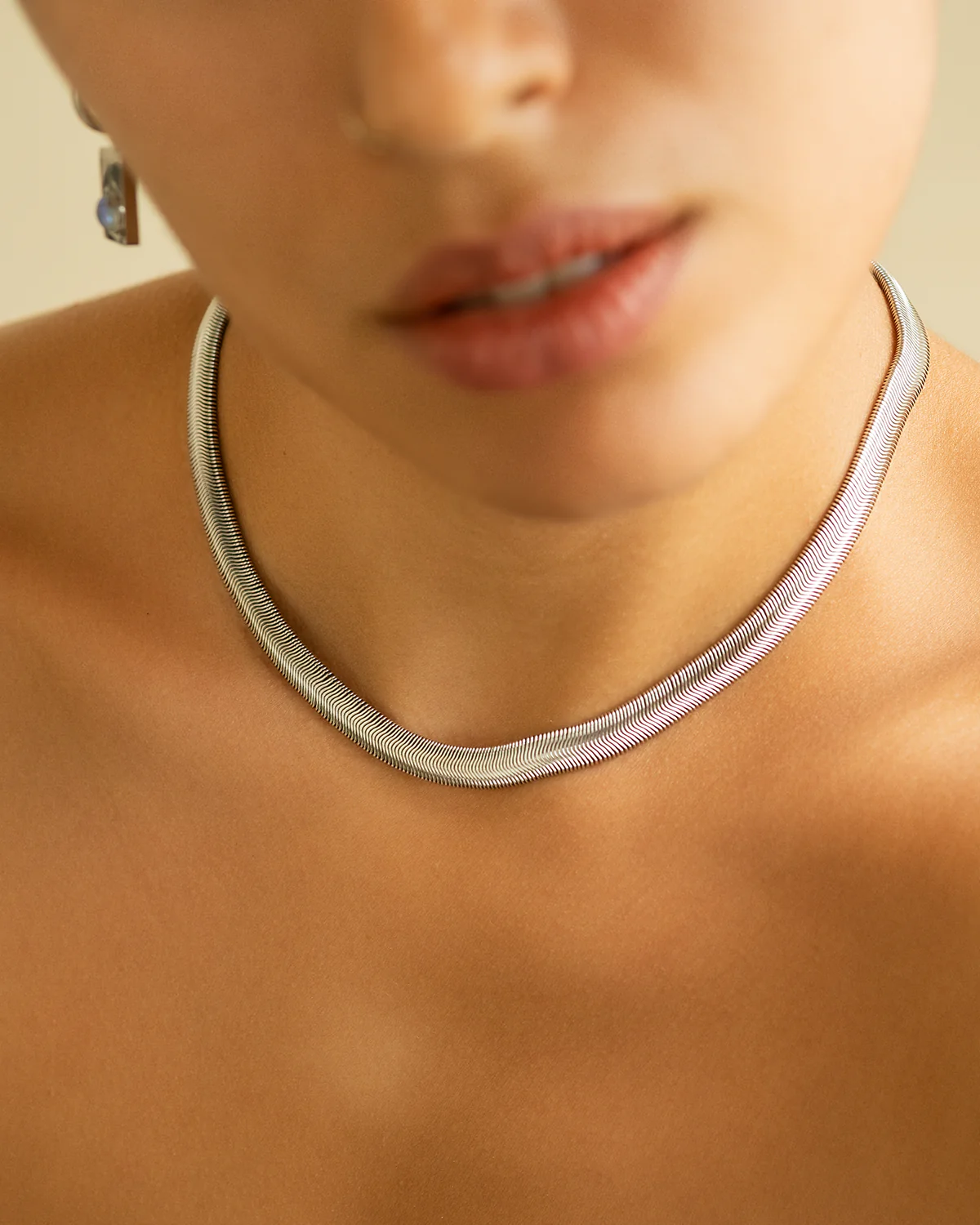 Jordan Serpent Chain - Image 7